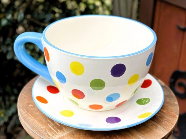 Giant coloured tea cup and saucer