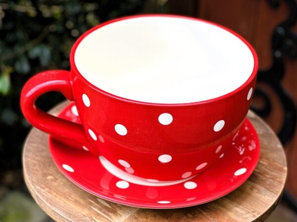 Jumbo cup and saucer red and white