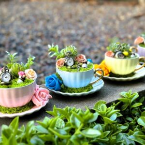 Set of 4 tea cup gardens