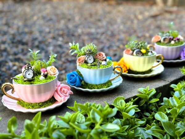 Set of 4 tea cup gardens