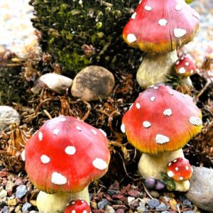 3 Mushroom stools